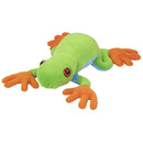 Giant Red eyed tree frog