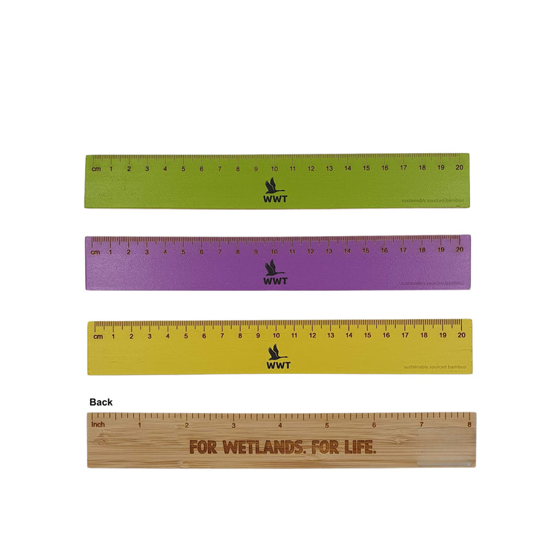 WWT bamboo ruler