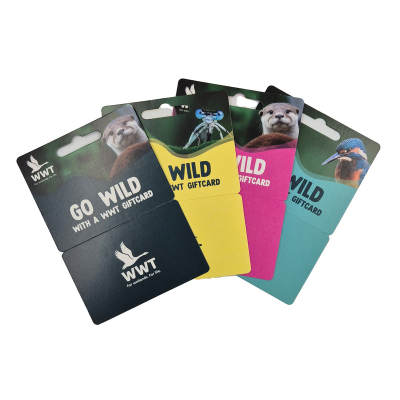 WWT Gift Cards