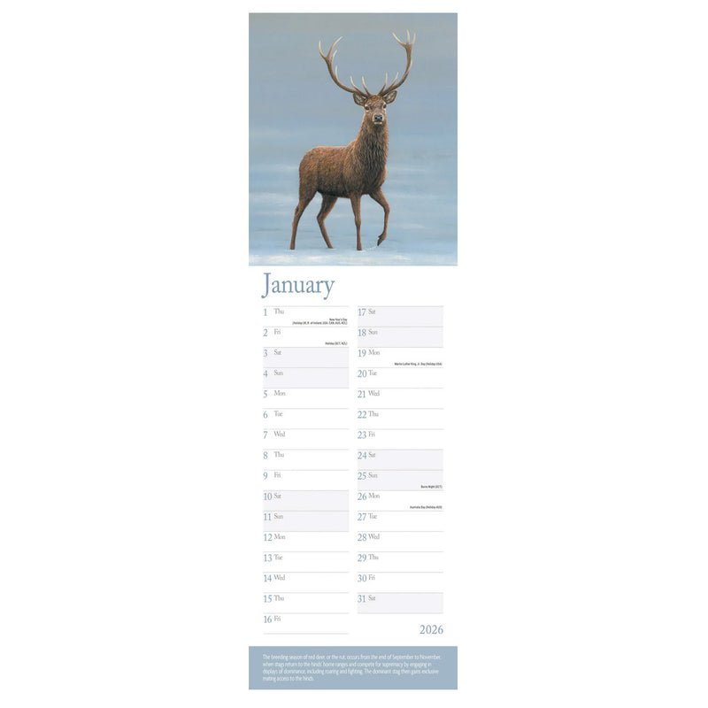 Robert Fuller slim calendar 2026