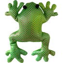 Frog sand animal
