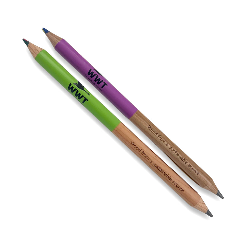 WWT duo pencil