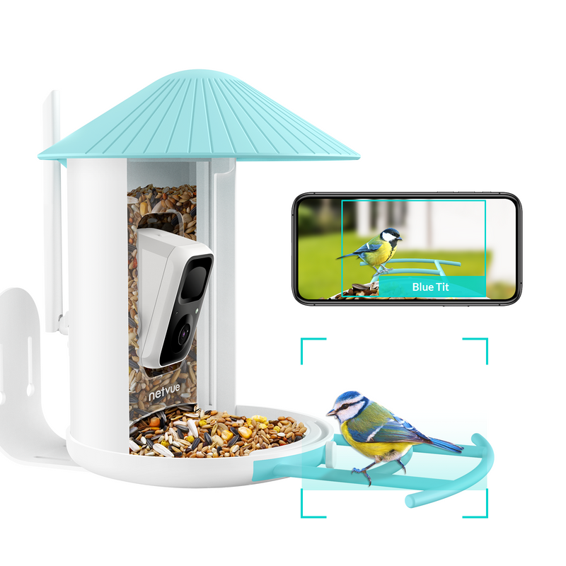 Netvue birdfy feeder AI - Feed, watch and record birds