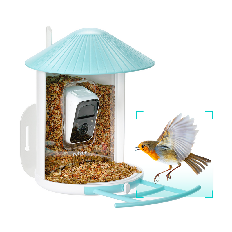 Netvue birdfy feeder lite + AI - Feed, watch and record birds