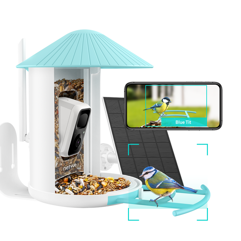 Netvue birdfy feeder lite + solar + AI - Feed, watch and record birds