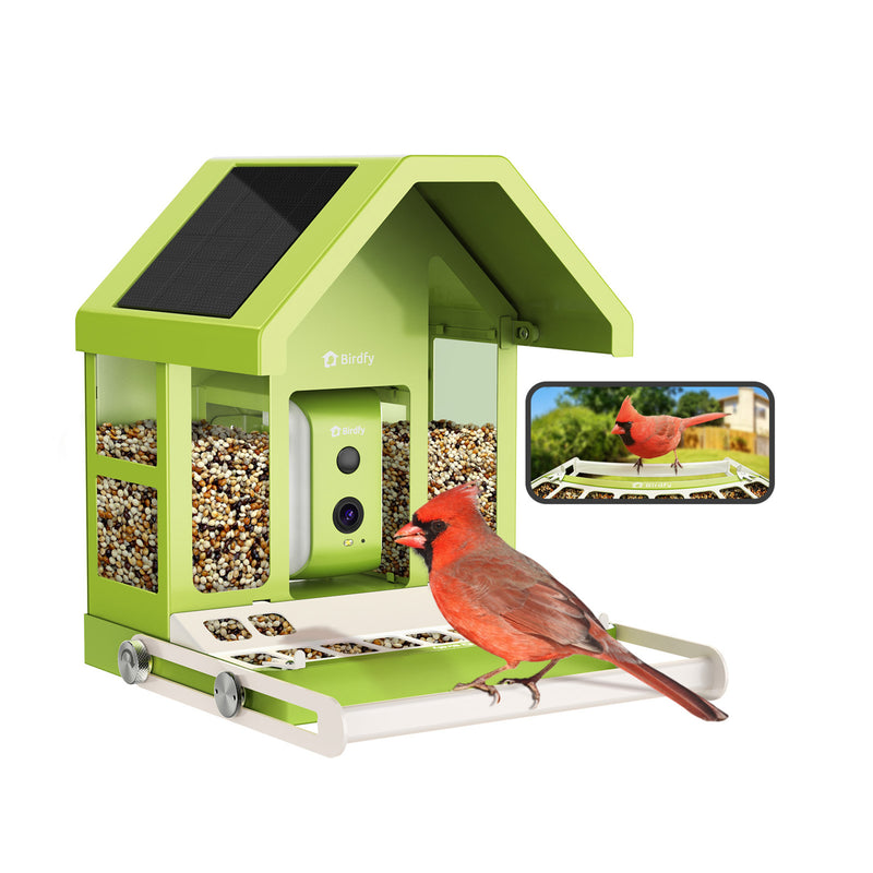 Birdfy feeder metal with AI