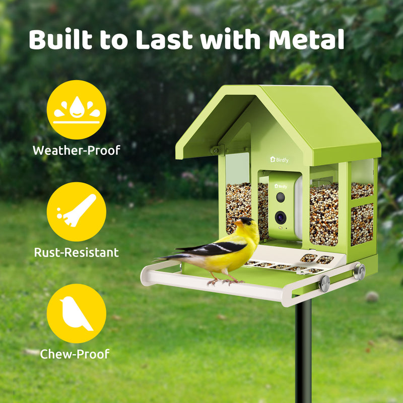 Birdfy feeder metal with AI