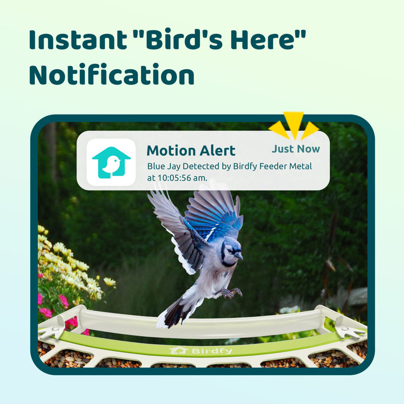 Birdfy feeder metal with AI