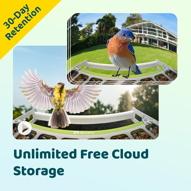 Birdfy feeder metal with AI