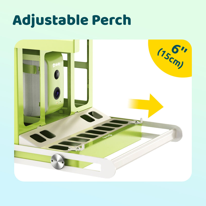 Birdfy feeder metal with AI