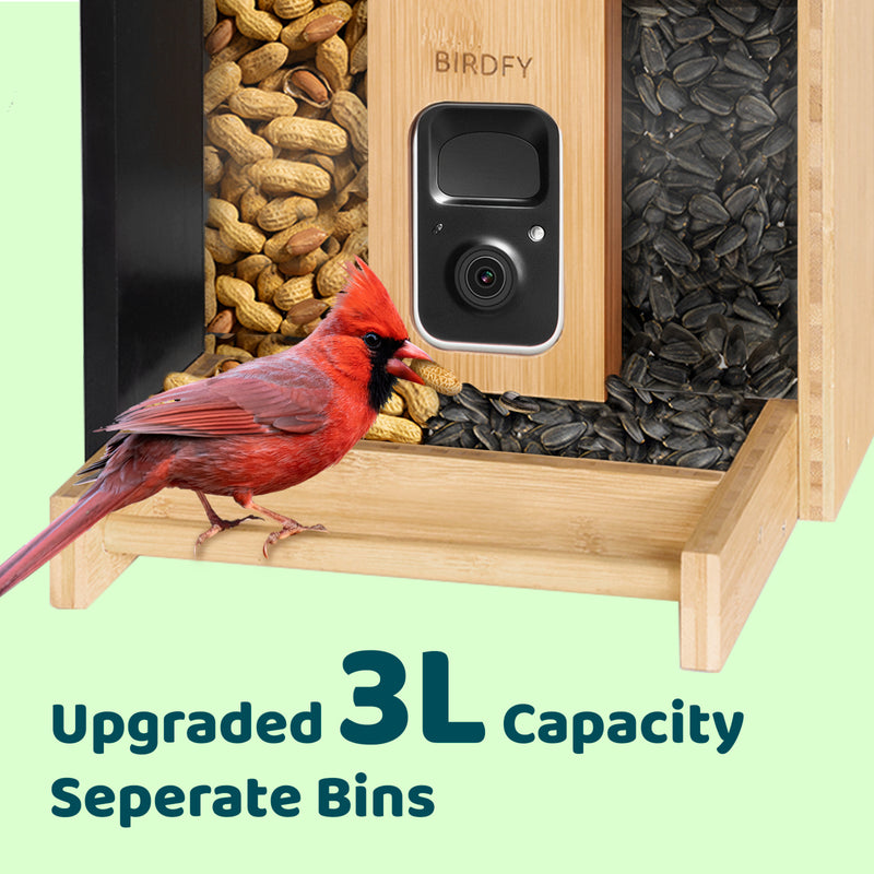 Bird feeder with a camera and separate bins for different types of bird seeds, featuring a cardinal bird.