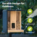 Bird feeder with waterproof, mold-resistant, and rot-resistant features on a rainy background