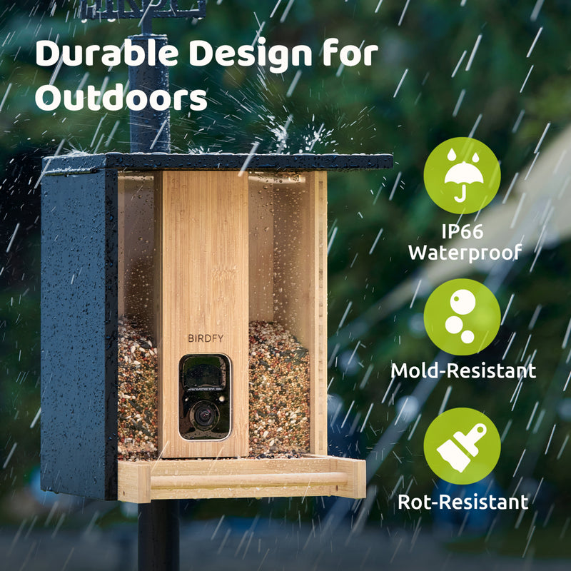 Bird feeder with waterproof, mold-resistant, and rot-resistant features on a rainy background