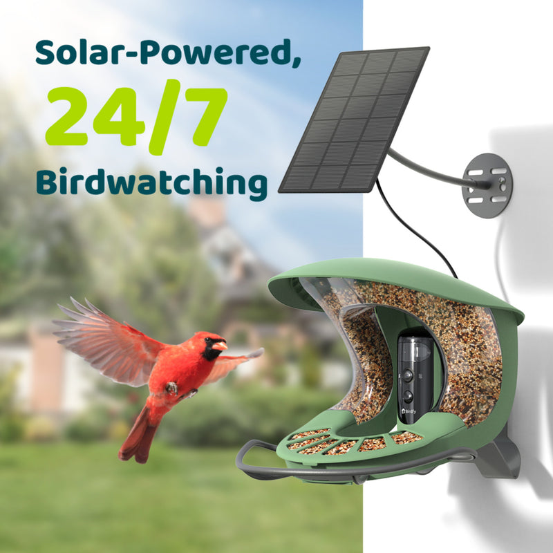 Birdfy feeder 2 Pro AI with Solar
