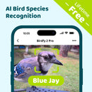 Birdfy feeder 2 Pro AI with Solar