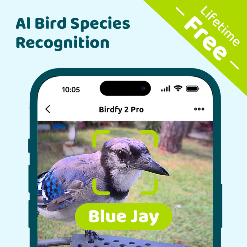 Birdfy feeder 2 Pro AI with Solar
