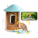 Birdfy feeder AI Lifetime with solar - Feed, watch and record birds