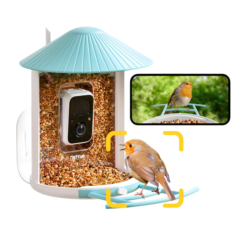 Birdfy feeder AI Lifetime with solar - Feed, watch and record birds