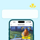 Birdfy feeder AI Lifetime with solar - Feed, watch and record birds