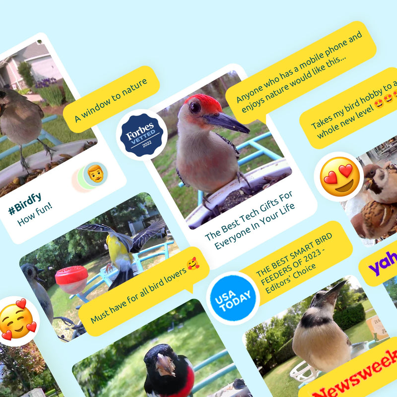Birdfy feeder AI Lifetime with solar - Feed, watch and record birds