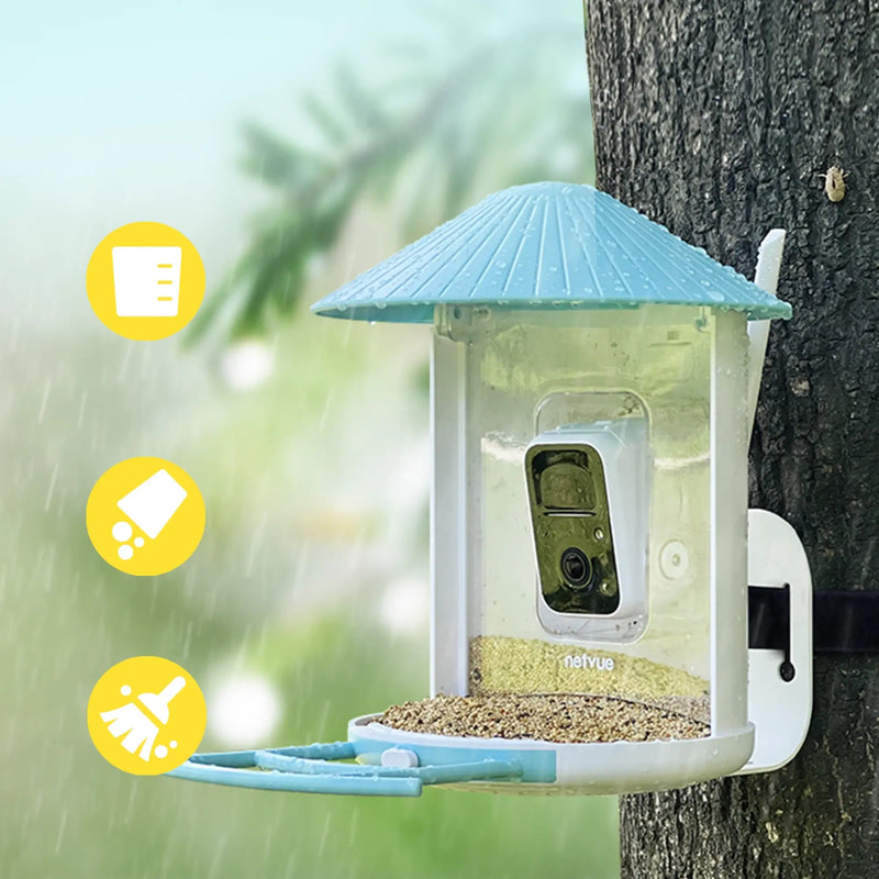 Birdfy feeder AI Lifetime with solar - Feed, watch and record birds