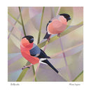 Beautiful Bullfinches greeting card by wildlife artist Alison Ingram. A unique, colourful design perfect for bird lovers and any occasion. Blank inside.