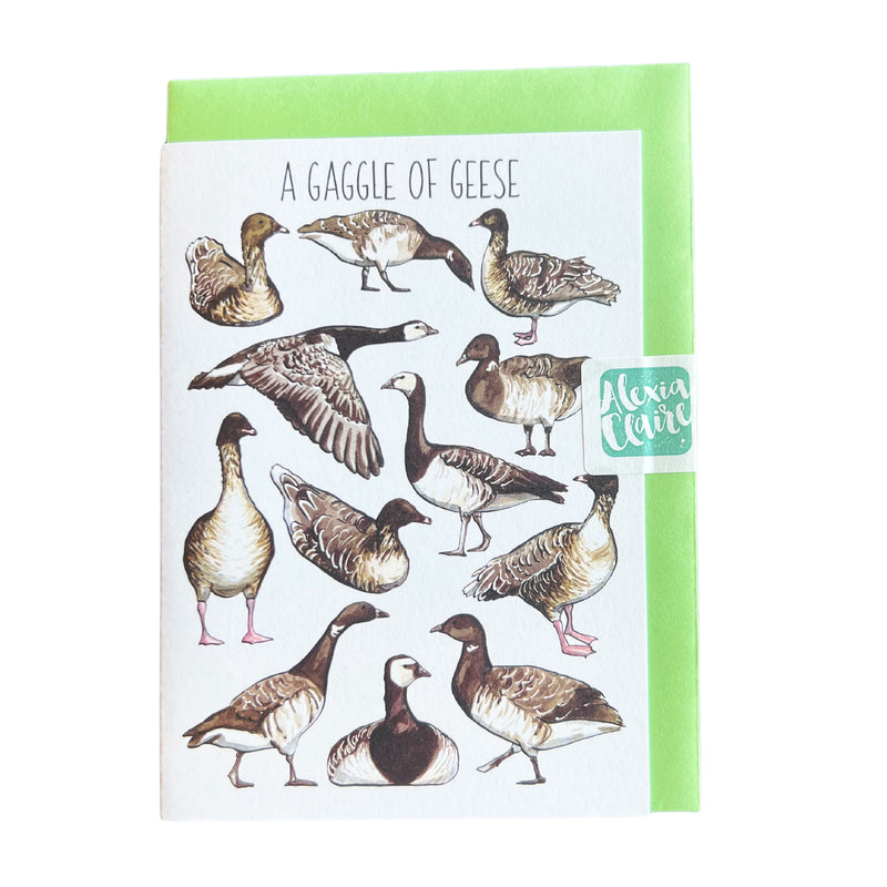 A6 greeting card with pink footed geese, light bellied brent geese and barnacle geese illustrations exclusively for WWT by wildlife illustartor Alexia Claire.  and writing of a gaggle of geese, suitable for birthdays, thank you notes and personal messages. Blank inside for your message. With green envelope. 