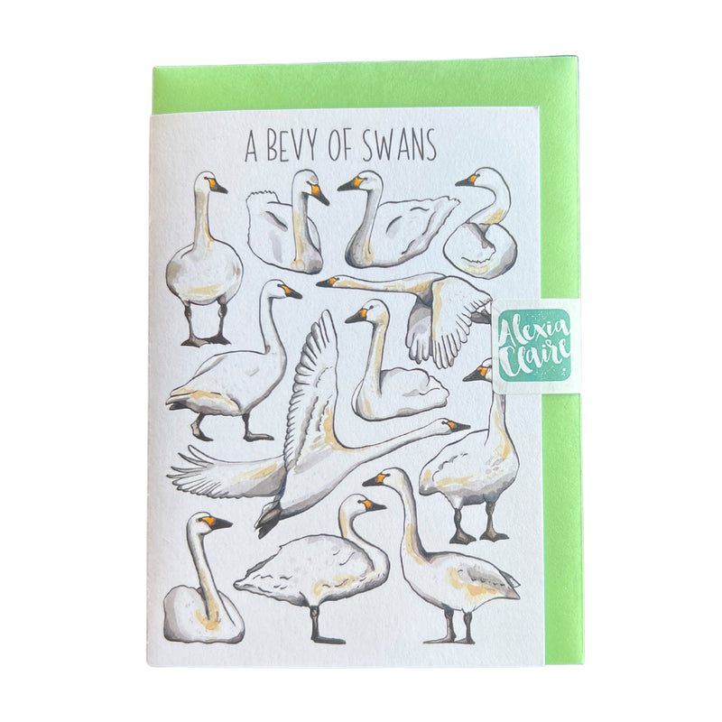 A bevy of swans greeting card by Alexia Claire