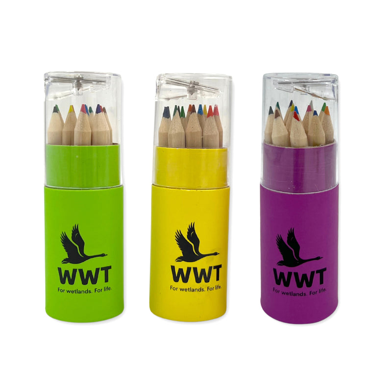 WWT combi pencil tube