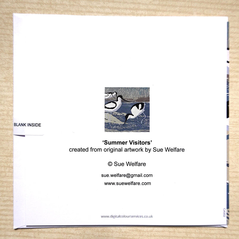 Sue Welfare Summer Visitors - Avocets greeting card