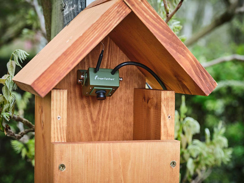 WiFi bird box & wildlife habitat HD camera