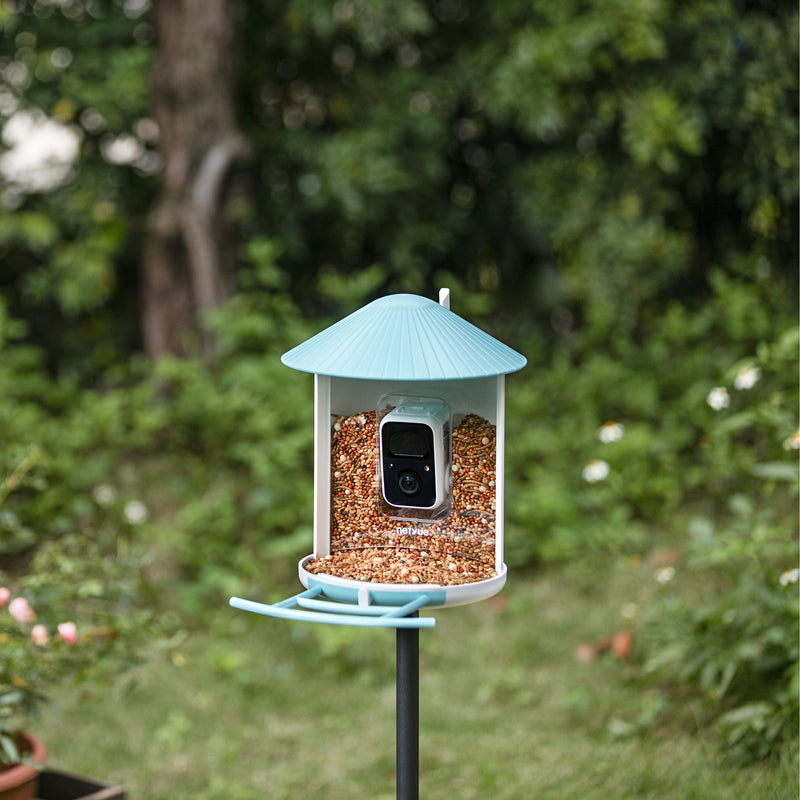 Netvue birdfy feeder AI - Feed, watch and record birds