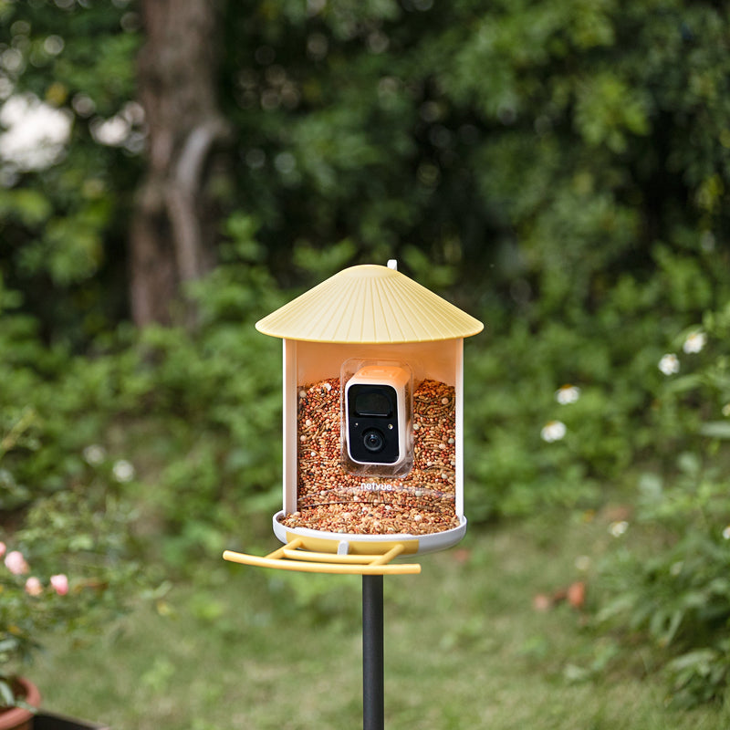 Netvue birdfy feeder lite + AI - Feed, watch and record birds