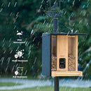 Bird feeder with waterproof, mold-resistant, and rot-resistant features on a rainy background