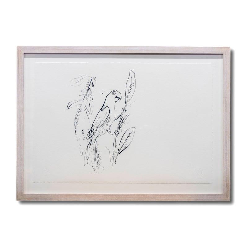 Quentin Blake: Drawn to Water print, Birds drawn with Quills: Parrot