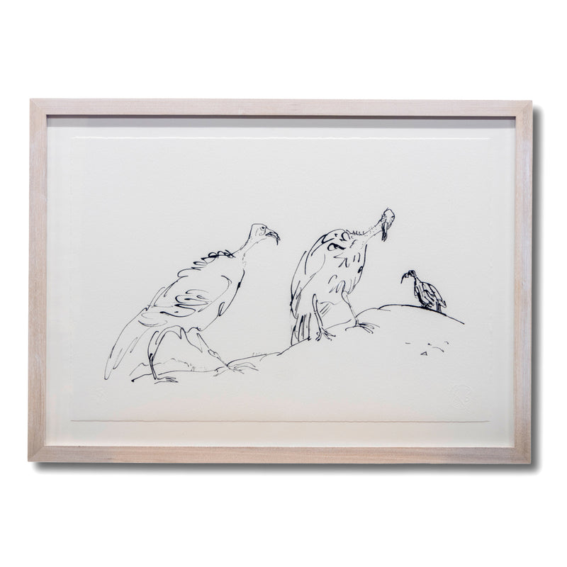 Quentin Blake: Drawn to Water print, Birds drawn with Quills: Turkeys