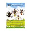 Buzzing insects Discovery Guide