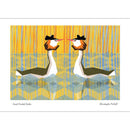 Great Crested Grebe's Greeting Card