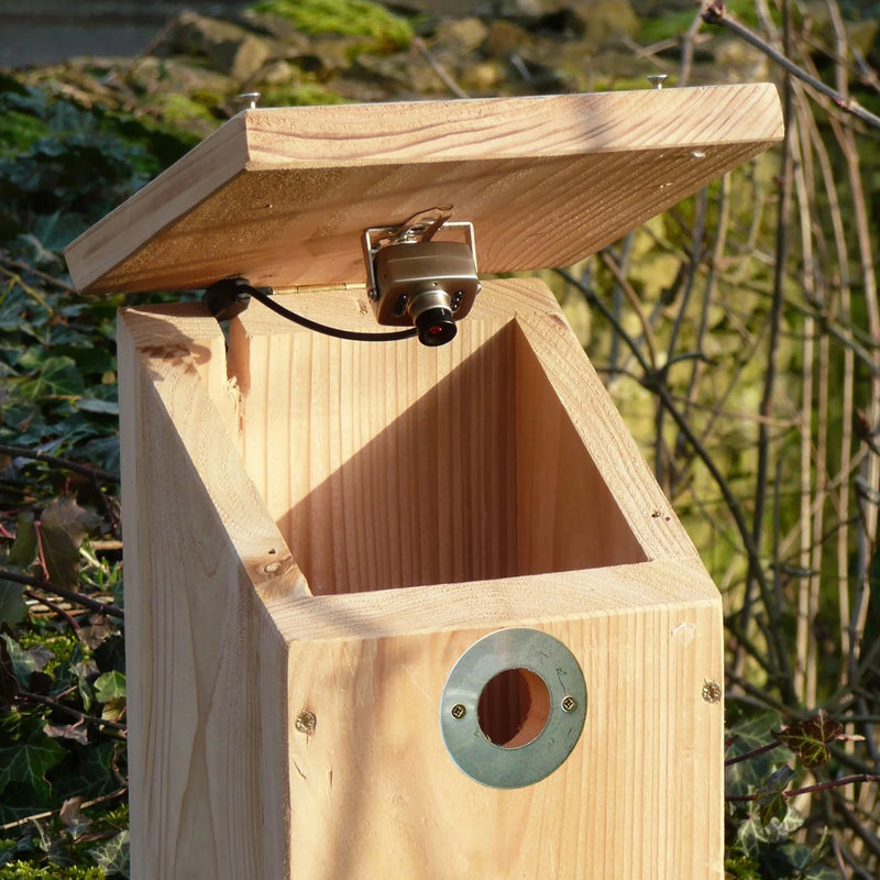 Camera ready bird nest box