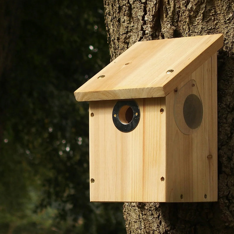 camera ready bird nest box