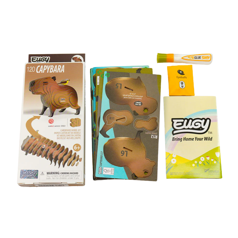 Eugy 3D Capybara Craft Model | Eco-Friendly Kids Activity | WWT