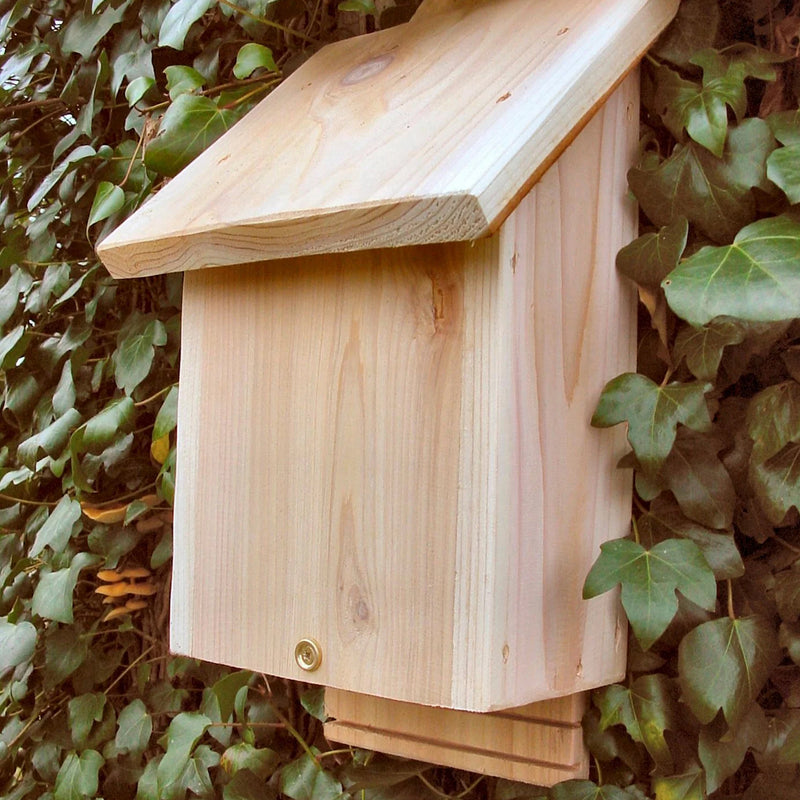 Chavenage bat box