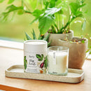 Aery fig leaf scented candle, black fig vetiver and cedarwood