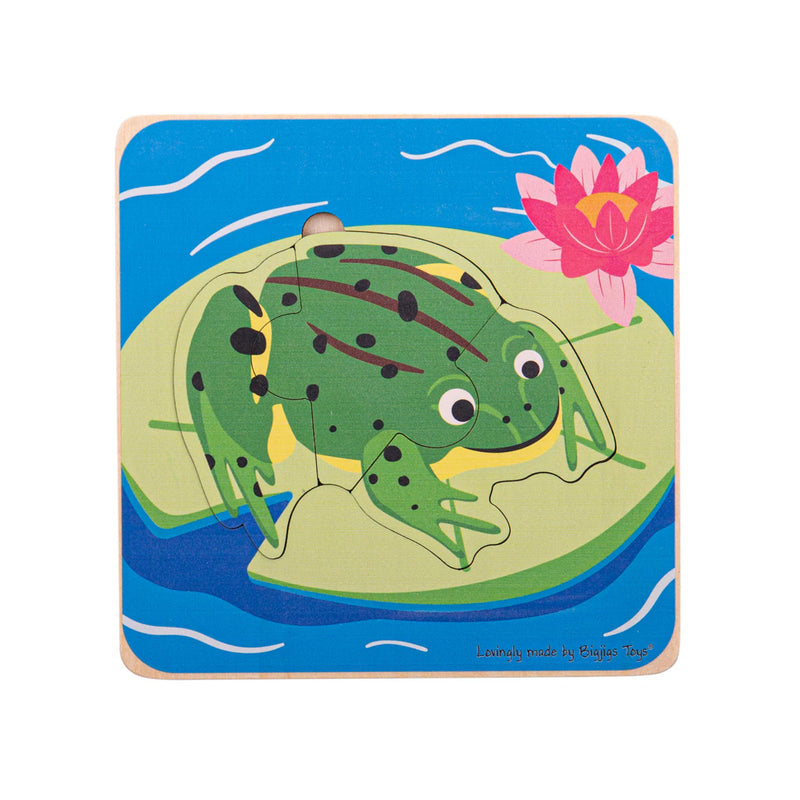 Frog layer puzzle