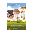 Fungi Discovery Guide
