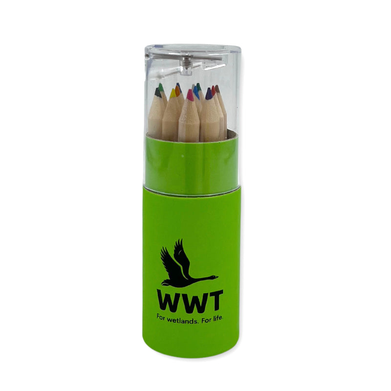 WWT combi pencil tube