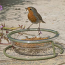 Robin perched on a Jacobi Jayne bird feeder with flowers in the background