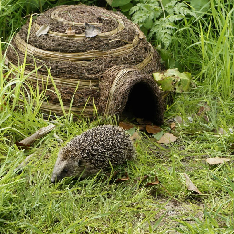 Igloo Hedgehog home