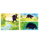 Gozzle By Julia Donaldson, Sara Ogilvie
