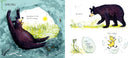 Gozzle By Julia Donaldson, Sara Ogilvie